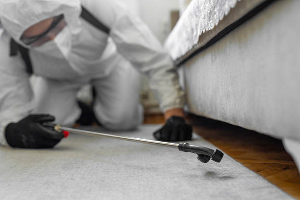 Professional Bed Bug Control technician working in Washington, IA