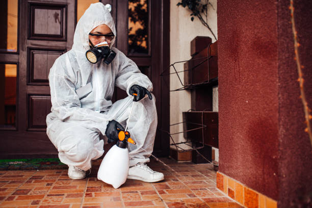 Reliable Bed Bug Control contractor in Washington, IA by Nex Pest Control
